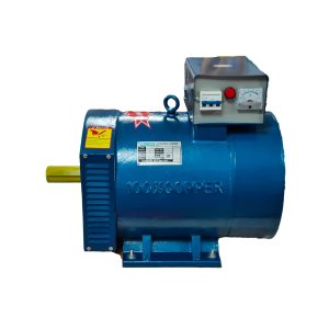 20kW 3-Phase Pulsar Alternator – Heavy Duty Power Performance